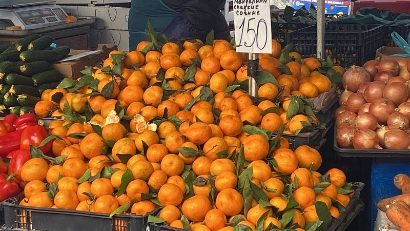 Зараженные фрукты из Турции и Египта обеззаразили в Новороссийске