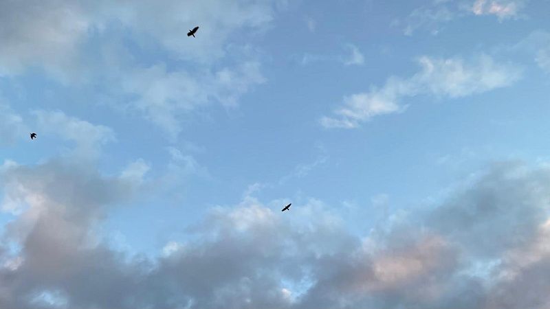 Похожий на дрон предмет упал с неба в Москве