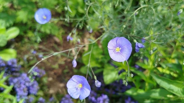 Кратковременные дожди и потепление до +24 градусов придут в Краснодар 6 мая