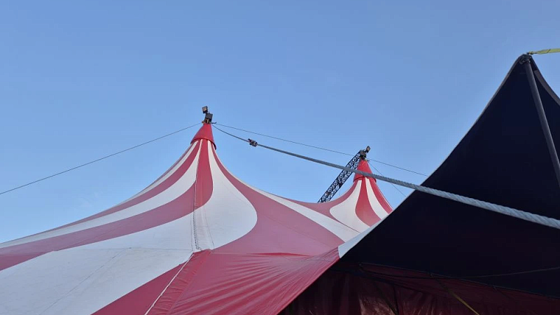 На передвижной цирк у ТЦ пожаловались жители Краснодара
