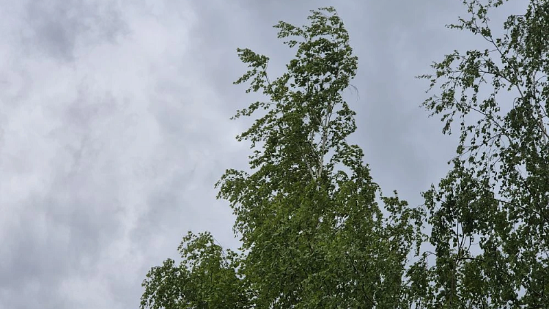 До +15 градусов и кратковременные дожди ожидаются 23 апреля на Кубани