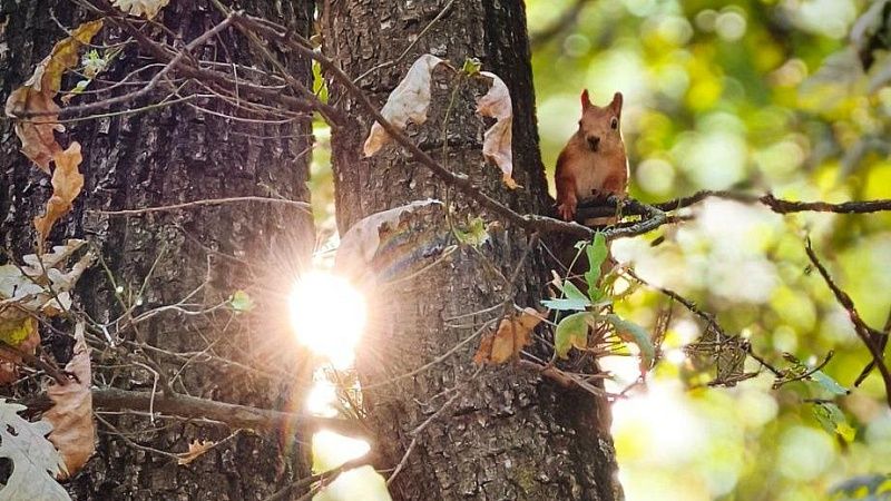 Облачно и ветрено будет 28 августа на Кубани
