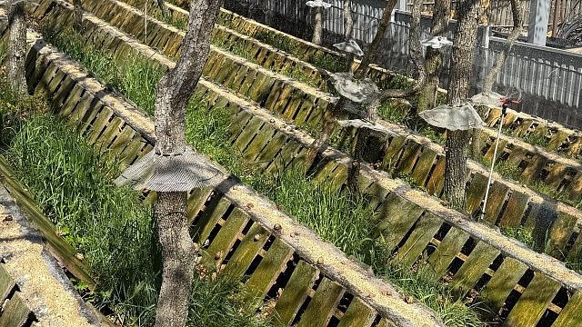 Фото: телеканал «Краснодар»