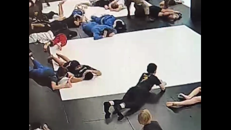 Полиция назвала оперативным мероприятием облаву в детской академии в Краснодаре