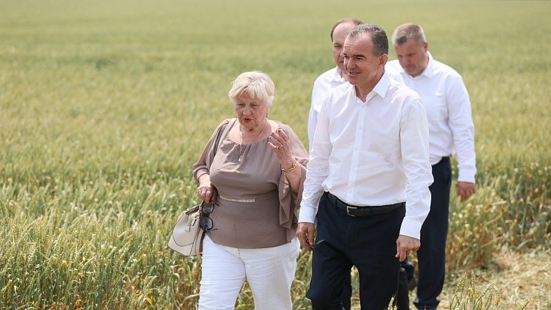 В качестве помощи из-за засухи аграриям введут режим ЧС власти Кубани