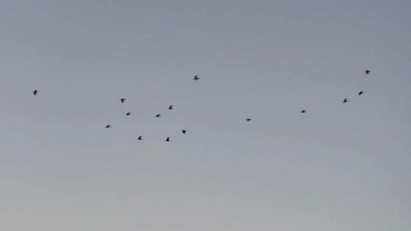 Лавров рассказал об атаке БПЛА на госрезиденцию президента России