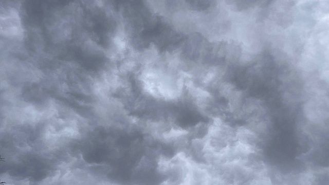 Фото: телеканал «Краснодар»