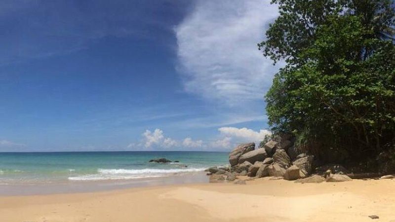 Стая бродячих псов набросилась на российскую туристку на пляже Гоа