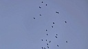 Режим ракетной опасности объявили 21 июля в Волгоградской области