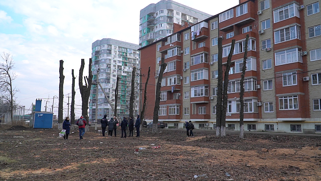 В посёлке Краснодарском остановили незаконную вырубку деревьев