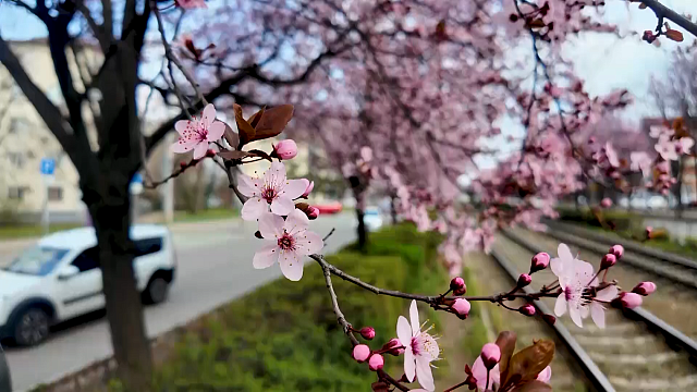 Атака беспилотников, новый детский сад, розовый Краснодар. Новости 30 марта
