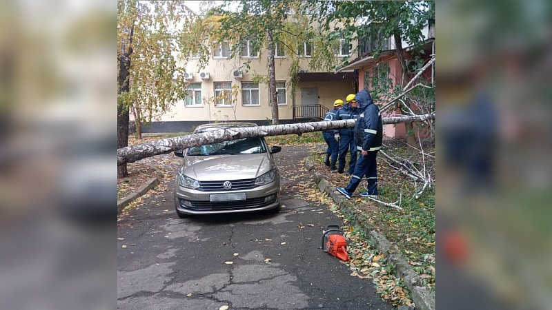 Около 40 заявок за неделю отработали спасатели Краснодара