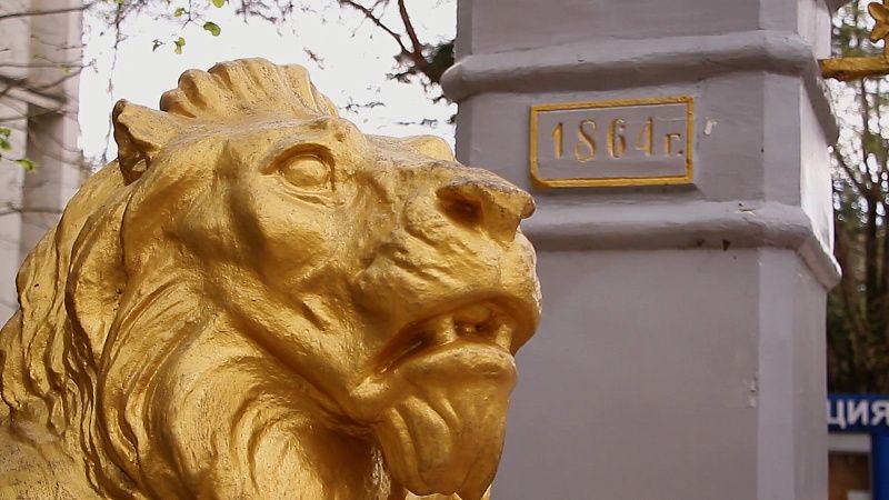 Ветврач «Тайгана» Писковой: напавшего на Зубкова льва усыплять не будут