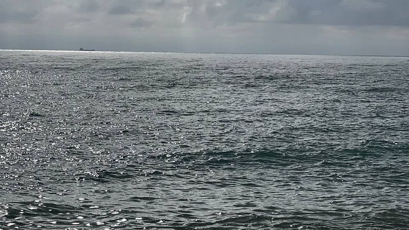 Очевидцы сняли на видео похожее на лисью акулу существо у берегов Сочи 