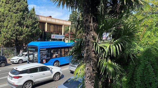 Перевозчики Сочи закупят 80 новых автобусов в 2025 году