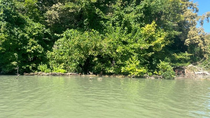 Тело 23-летнего мужчины нашли в реке Кубань в Краснодаре