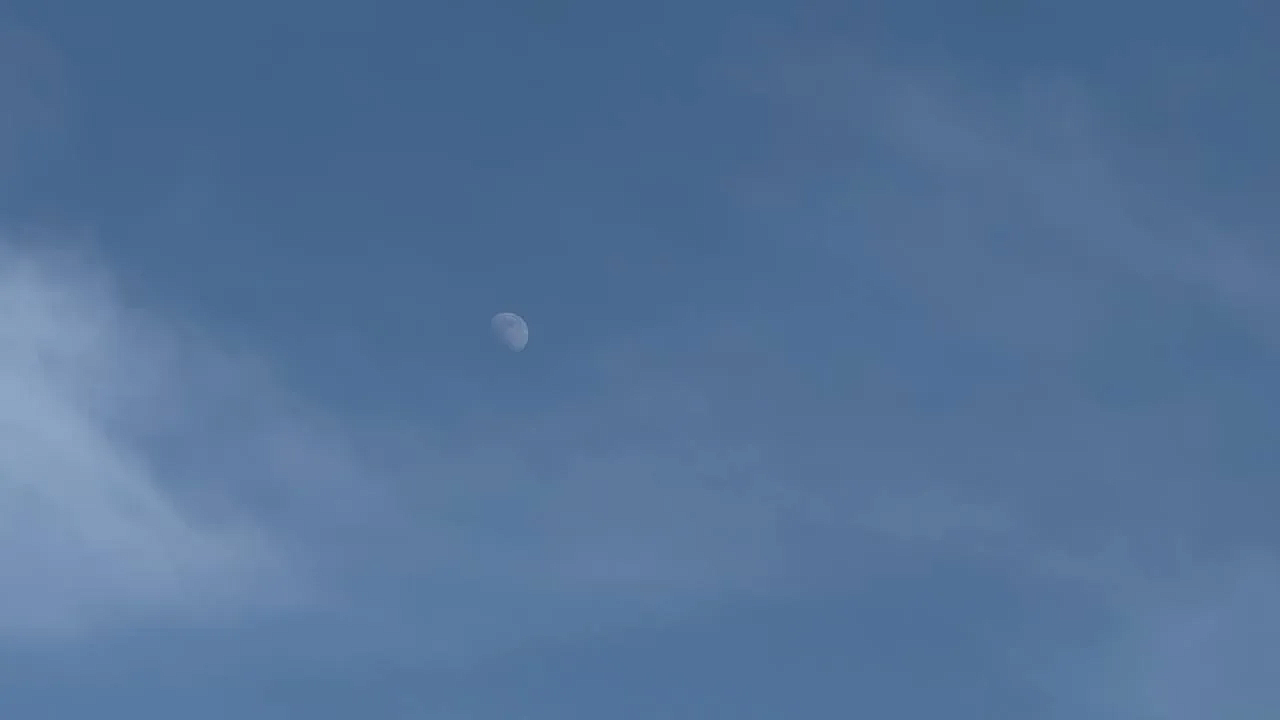 Более 50 БПЛА сбили с вечера 23 февраля над Кубанью, Чёрным и Азовским морями