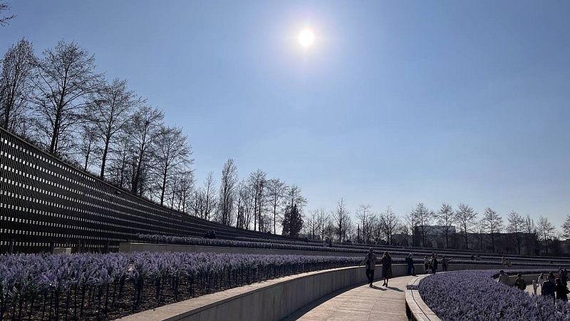 Температура воздуха превысила климатическую норму на 7 градусов на Кубани