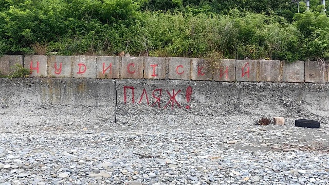 Этический контроль за порядком на «диких» пляжах усилили в Сочи