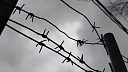Пытавшихся похитить девушку братьев посадили под стражу в Бору