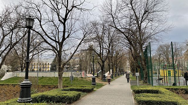Больше 200 аварийных деревьев убрали в Краснодаре за неделю