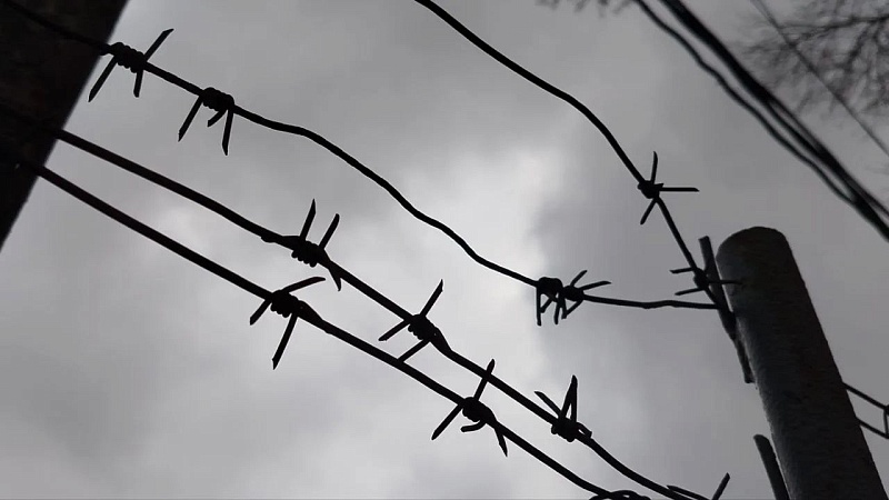 Пытавшихся похитить девушку братьев посадили под стражу в Бору