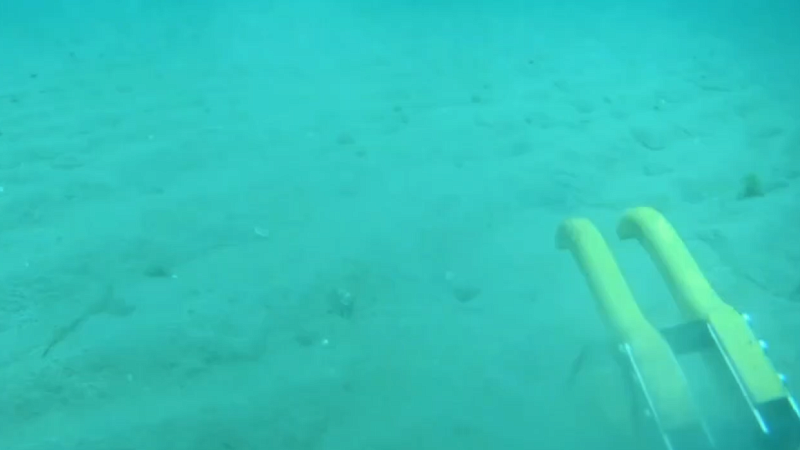 Водолазы не нашли следы мазута на морском дне между Джемете и Витязево в Анапе