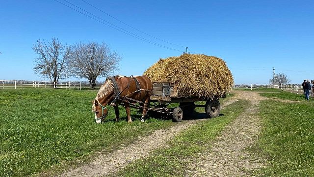 Пермские учёные создали кормовой белок из отходов сахарной промышленности
