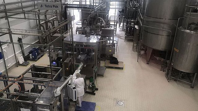 Завод Кубани по производству сыров внедрил технологии бережливого производства и увеличил производство. Фото: пресс-служба администрации Краснодарского края