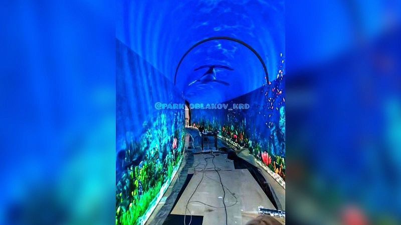 Подводный мир появится около ротонды в парке Облаков Краснодара