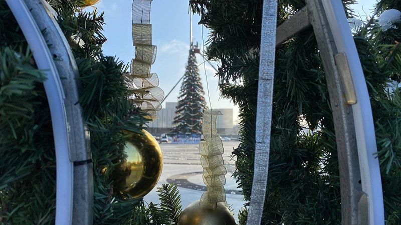 Новогодние огни на главной городской ели зажгли в Краснодаре