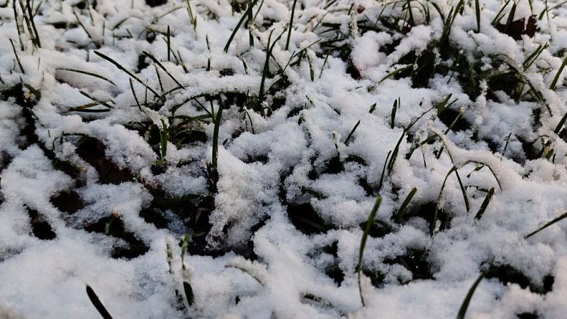 Около 50 см снега выпало в горах Сочи