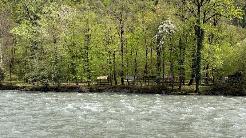 Четырехлетняя девочка упала за борт лодки и попала под винт в Ленобласти