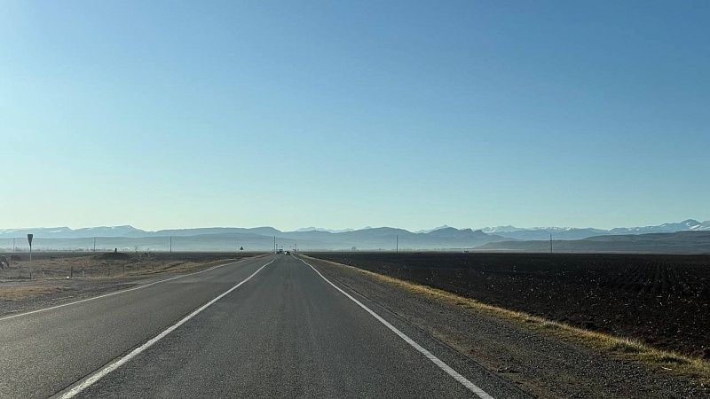 Залетевшая в окно машины цикада спровоцировала аварию в США