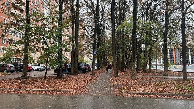 В субботу в Краснодаре понизится температура, осадков не ожидается