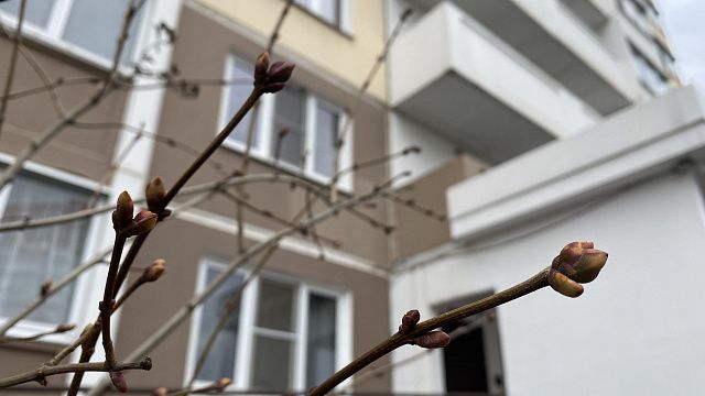 24 февраля в Краснодаре начнётся потепление Фото: телеканал «Краснодар»