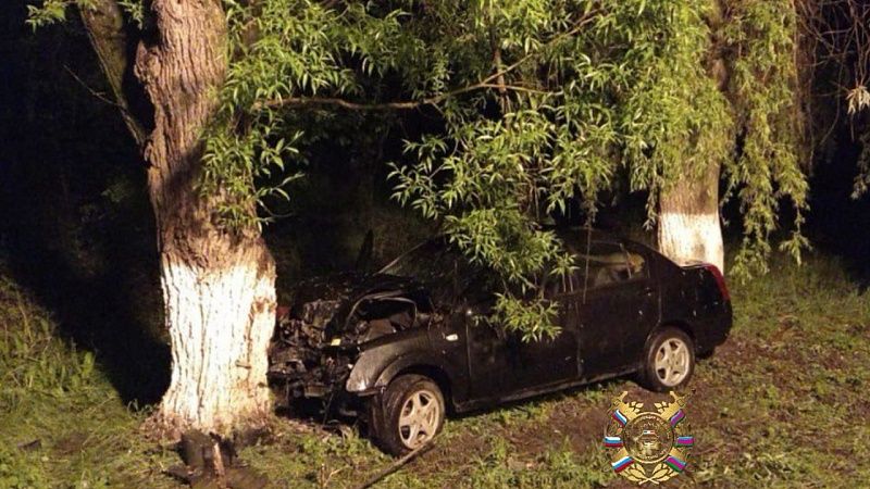 С начала года в ДТП погибло более 200 человек на Кубани 