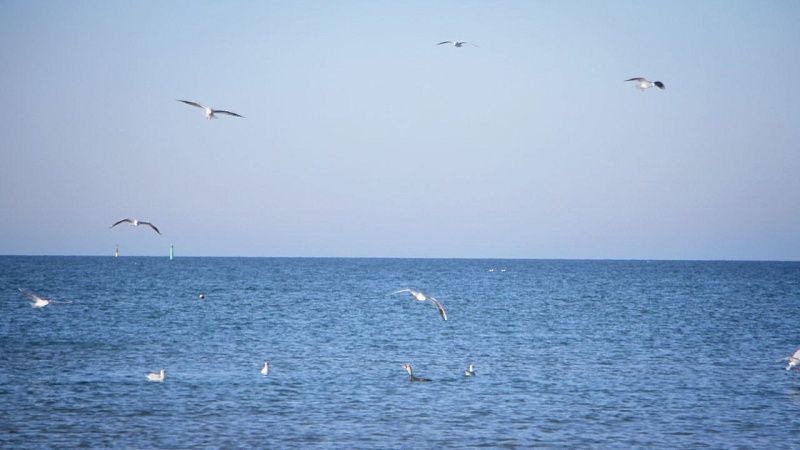 Далай -лама хочет назначить преемника вопреки позиции Китая