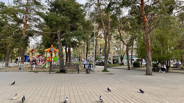 Более 25 тысяч жителей Краснодара проголосовали за благоустройство зелёных зон за неделю