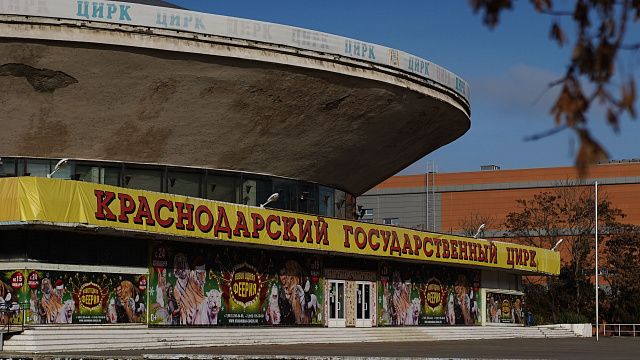 Международный день цирка Фото: Телеканал «Краснодар»