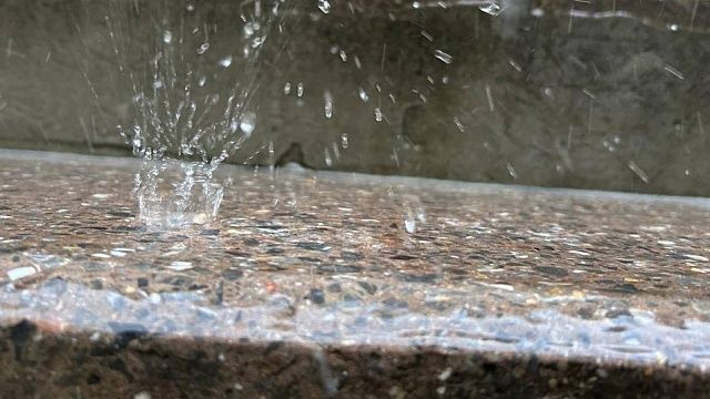 Фото: телеканал «Краснодар»