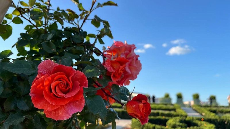 До +35⁰С с порывистым ветром прогнозируют 10 июня на Кубани