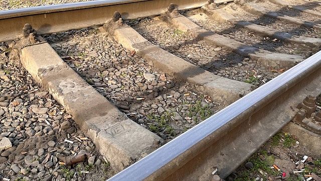 Трамвай на линии «Славянка» сошел с рельсов в первый день работы в Петербурге