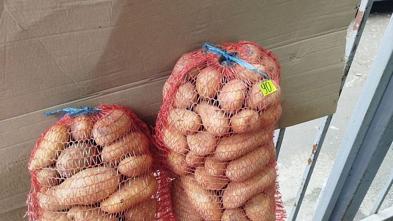 Почти в 5 раз вырос импорт картофеля на Кубань