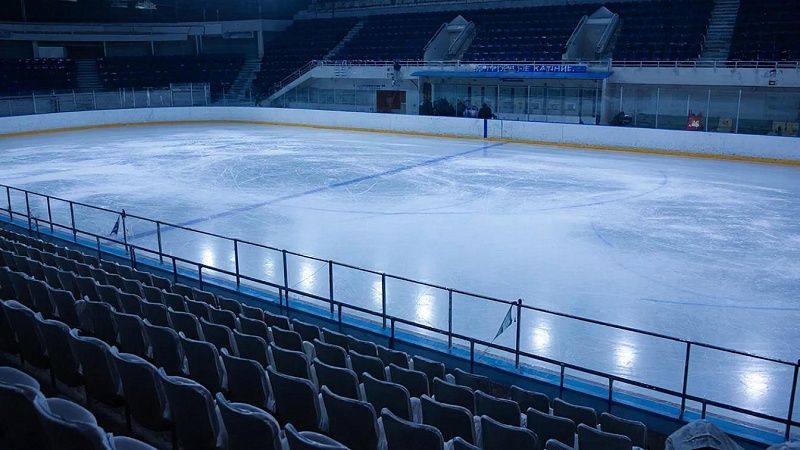 Советские фигуристы выиграли Чемпионат мира без музыки в Братиславе 