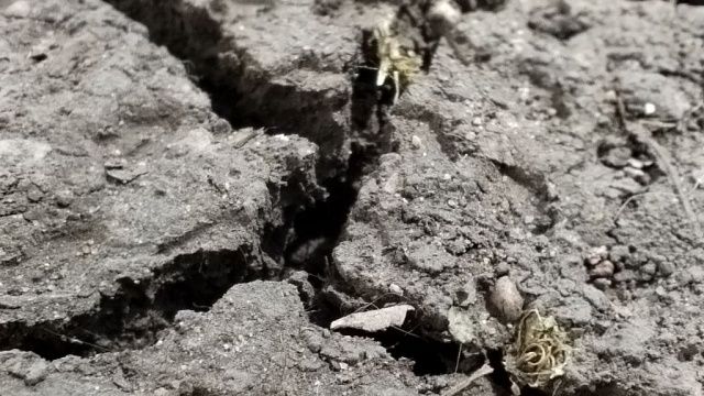 Фото: телеканал «Краснодар»