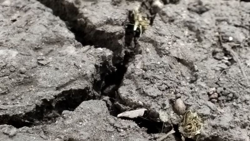 Метод прогнозирования землетрясений разработали ученые в России 