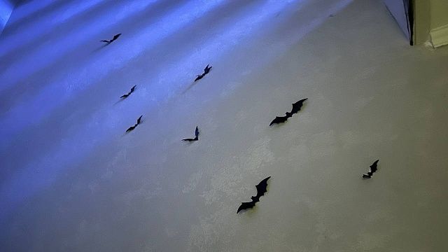 Фото: телеканал «Краснодар»