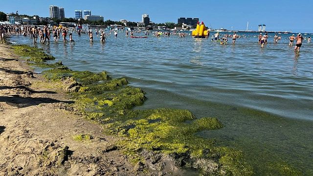 Врач Долгушкина дала рекомендации, как спастись от ротавируса. Фото: Телеканал «Краснодар»