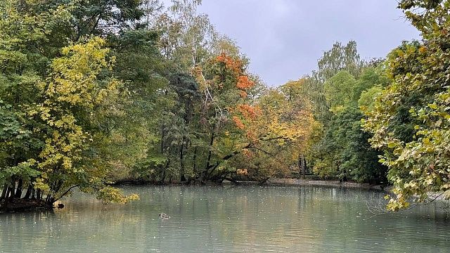 Фото: телеканал «Краснодар»